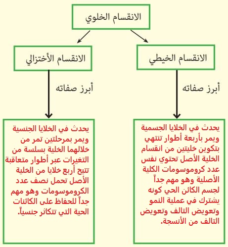 إجابة السؤال 14